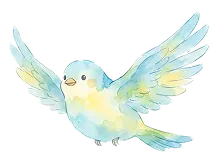 鳥