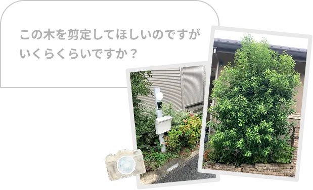 写真やカメラ