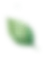葉っぱ