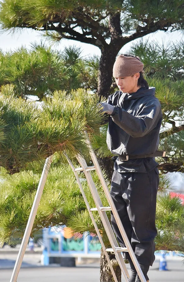 代表 金子峻也が庭木を剪定している写真