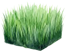 草刈り・芝刈りイメージ