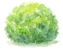 植込のイラスト