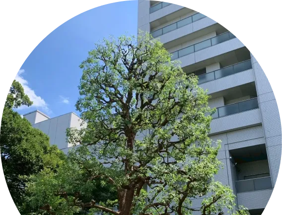 法人・施設管理の画像