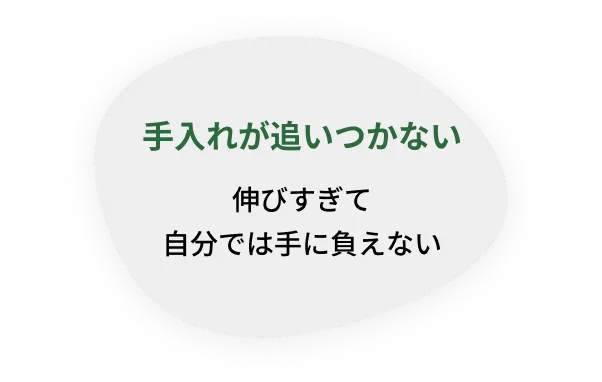 手入れが追いつかない