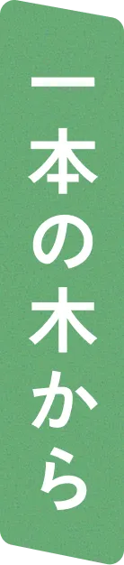 一本の木から