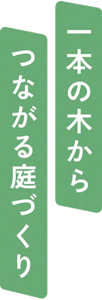 一本の木からつながる庭づくり