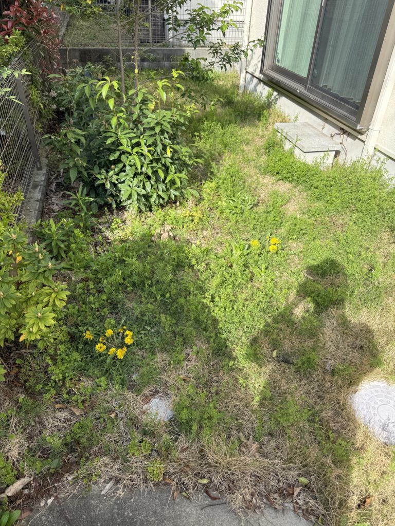 土間コンクリート工事 施工前
