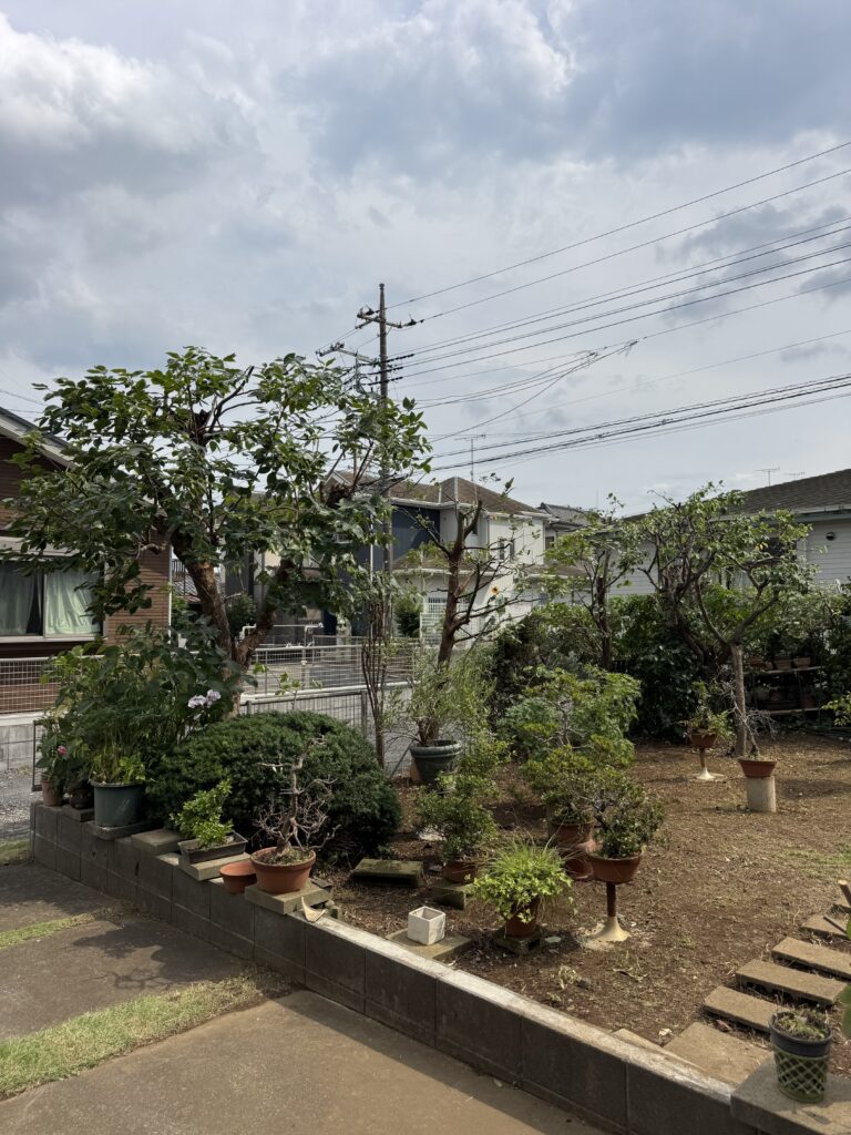T様邸　庭木強剪定 施工後
