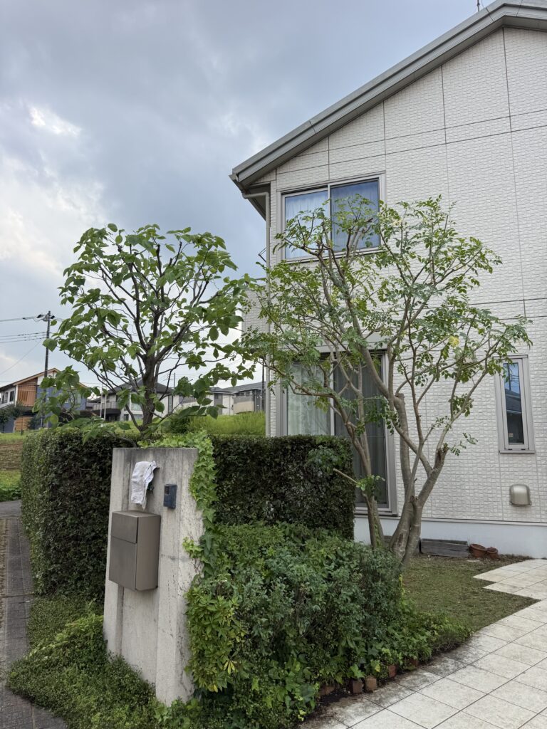 Y様邸庭木剪定 施工後