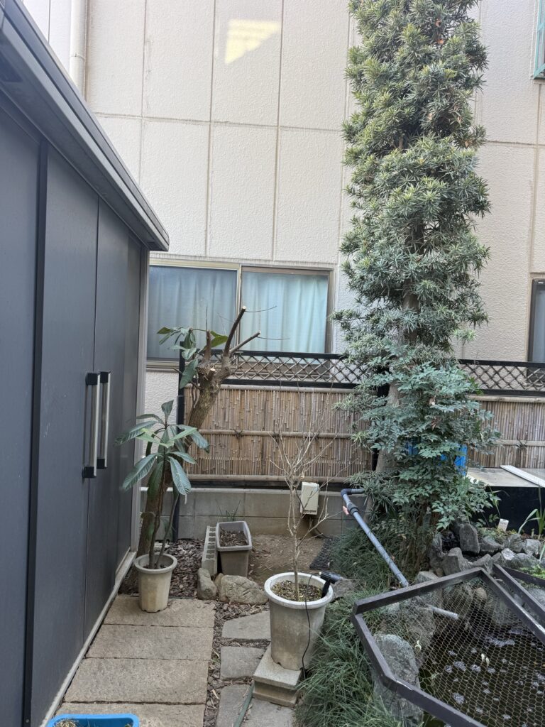 さいたま市A様邸　植栽工事 施工前