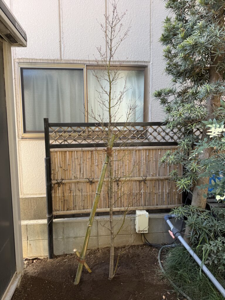 さいたま市A様邸　植栽工事 施工後