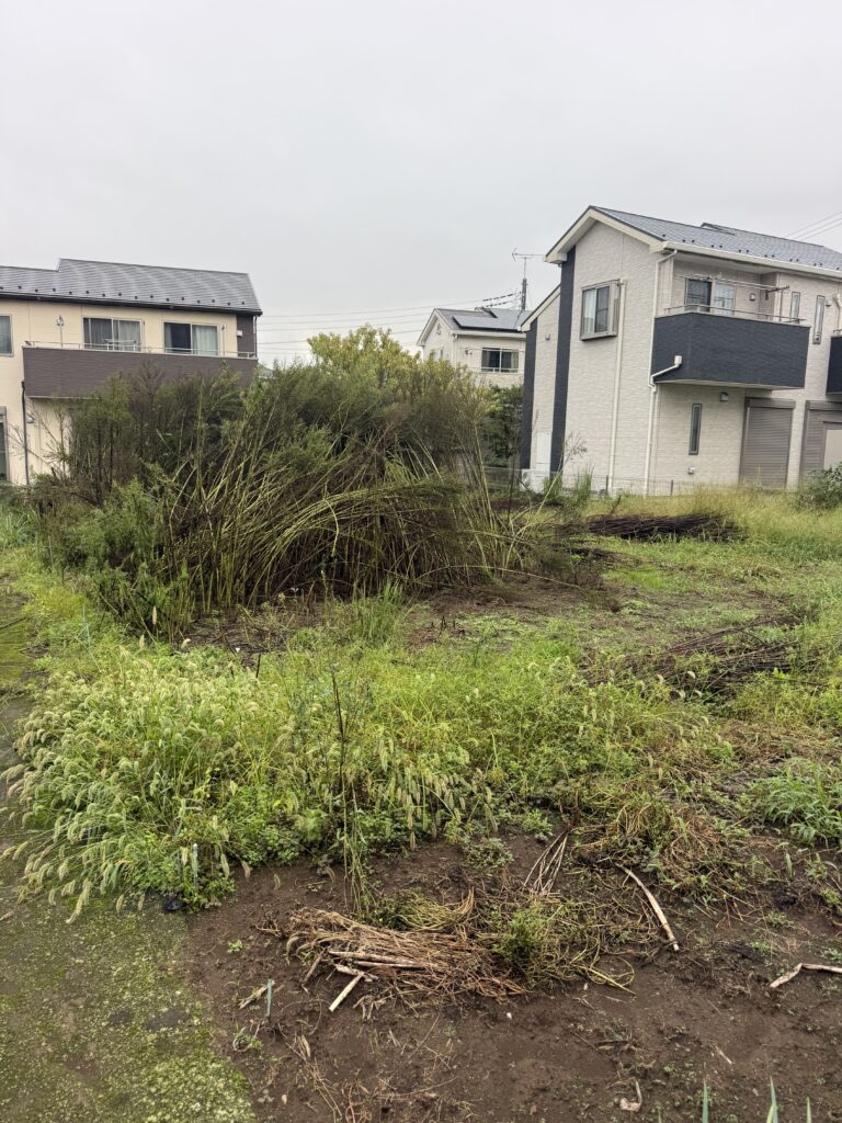 入間市N様邸　畑草刈り作業 施工前