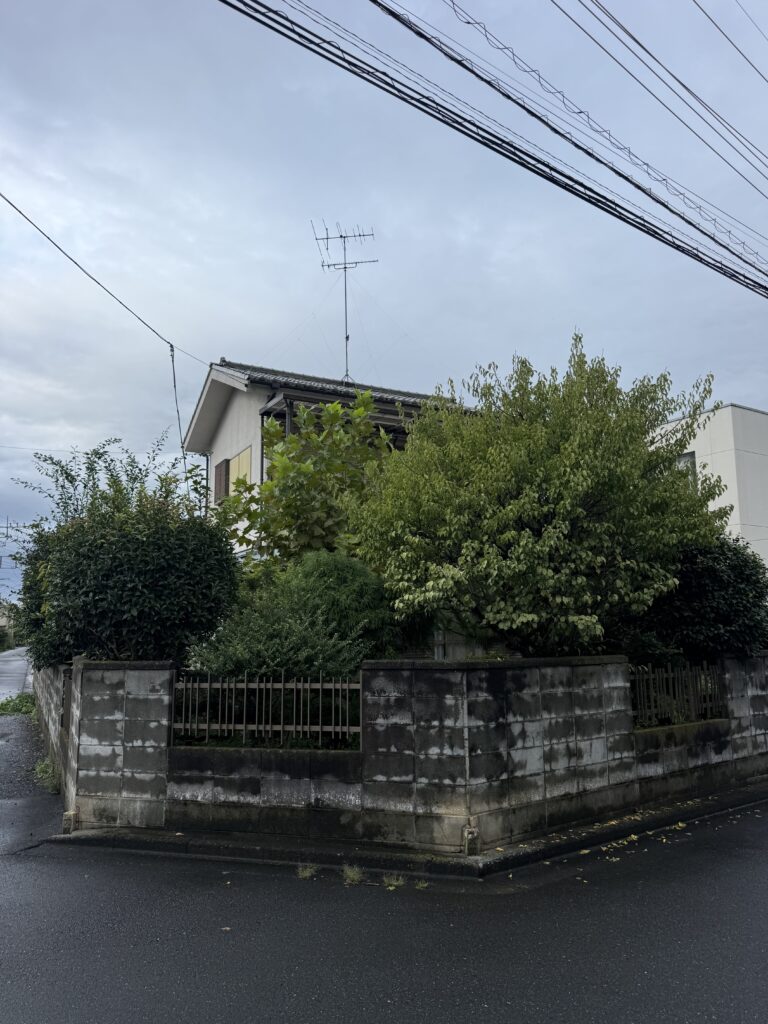 入間市N様邸 庭木剪定作業 施工前