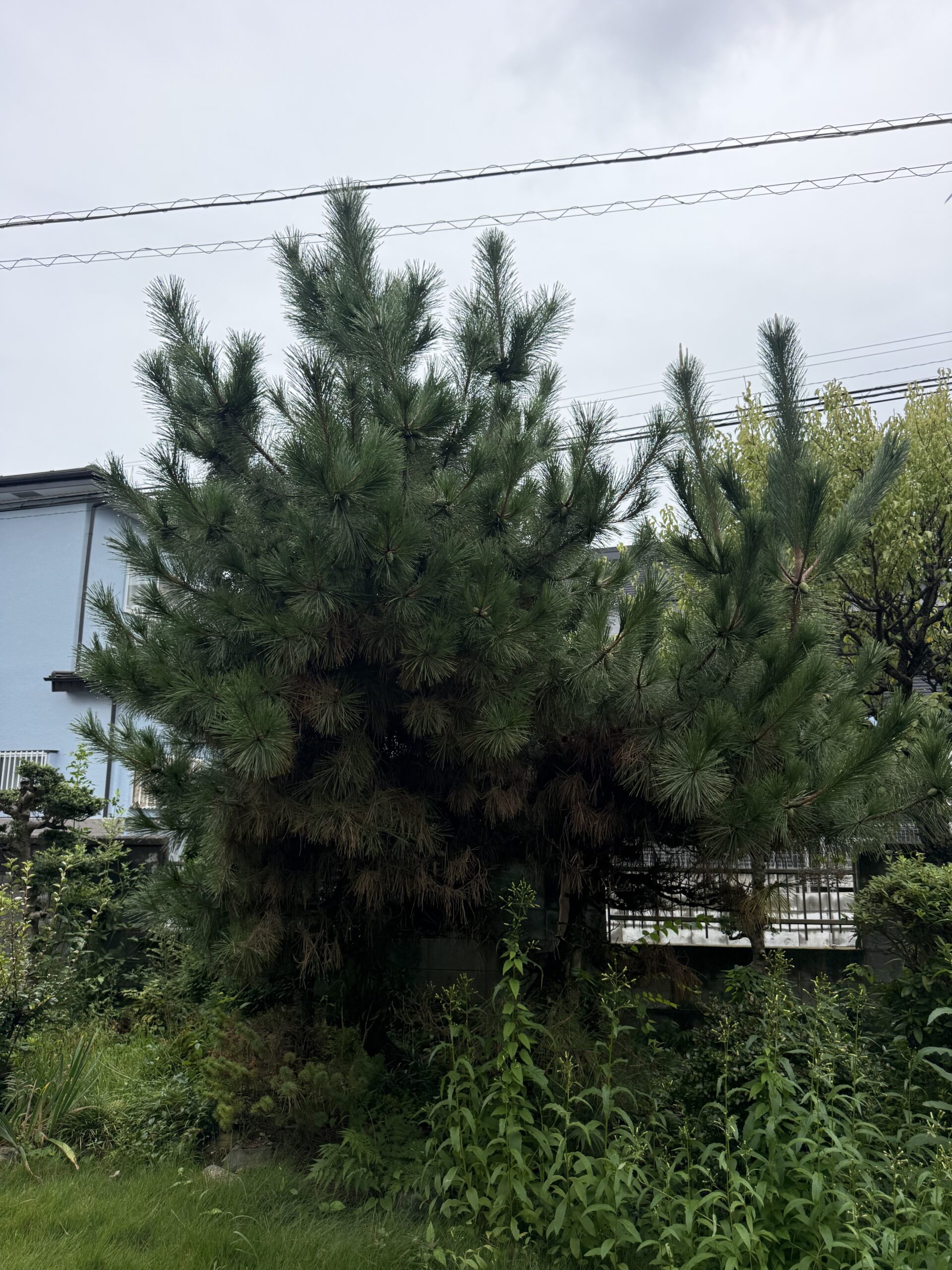 施工前の画像