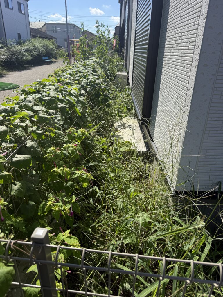 入間市O様邸 除草作業 施工前