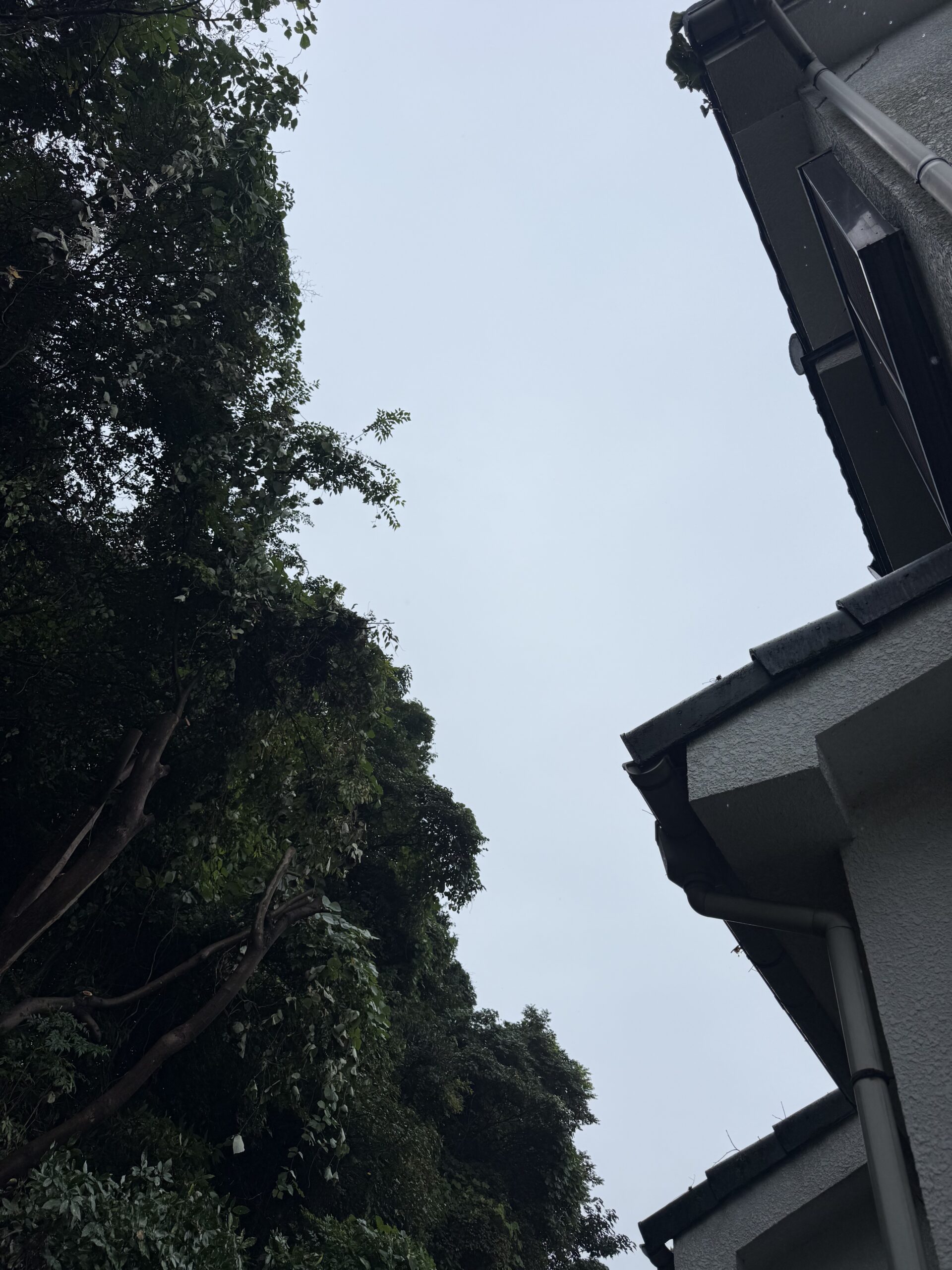 施工後の画像