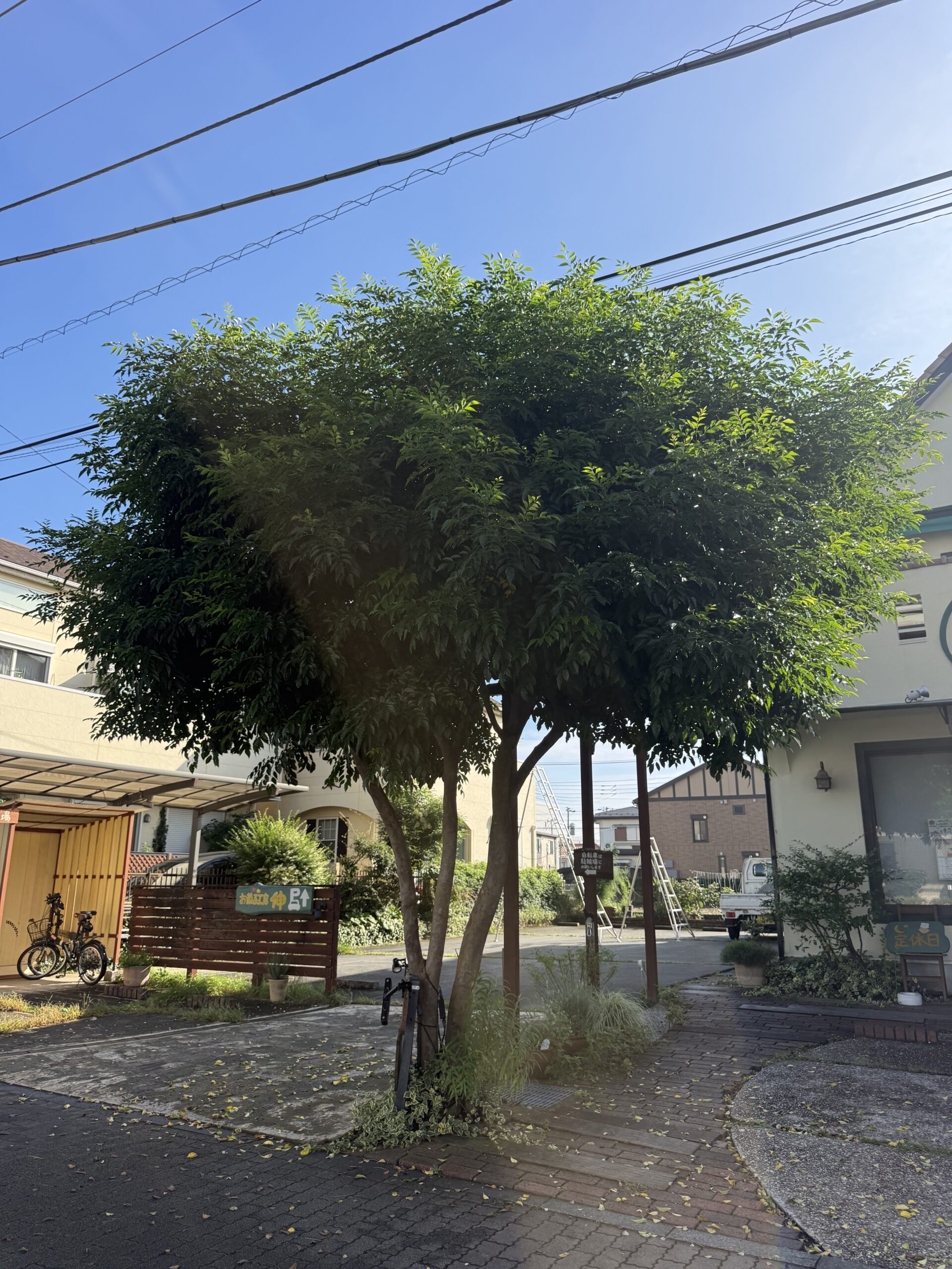 施工前の画像
