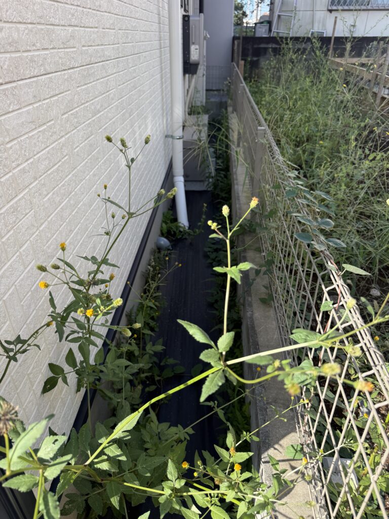 東村山市H様邸 砂利敷き作業 施工前